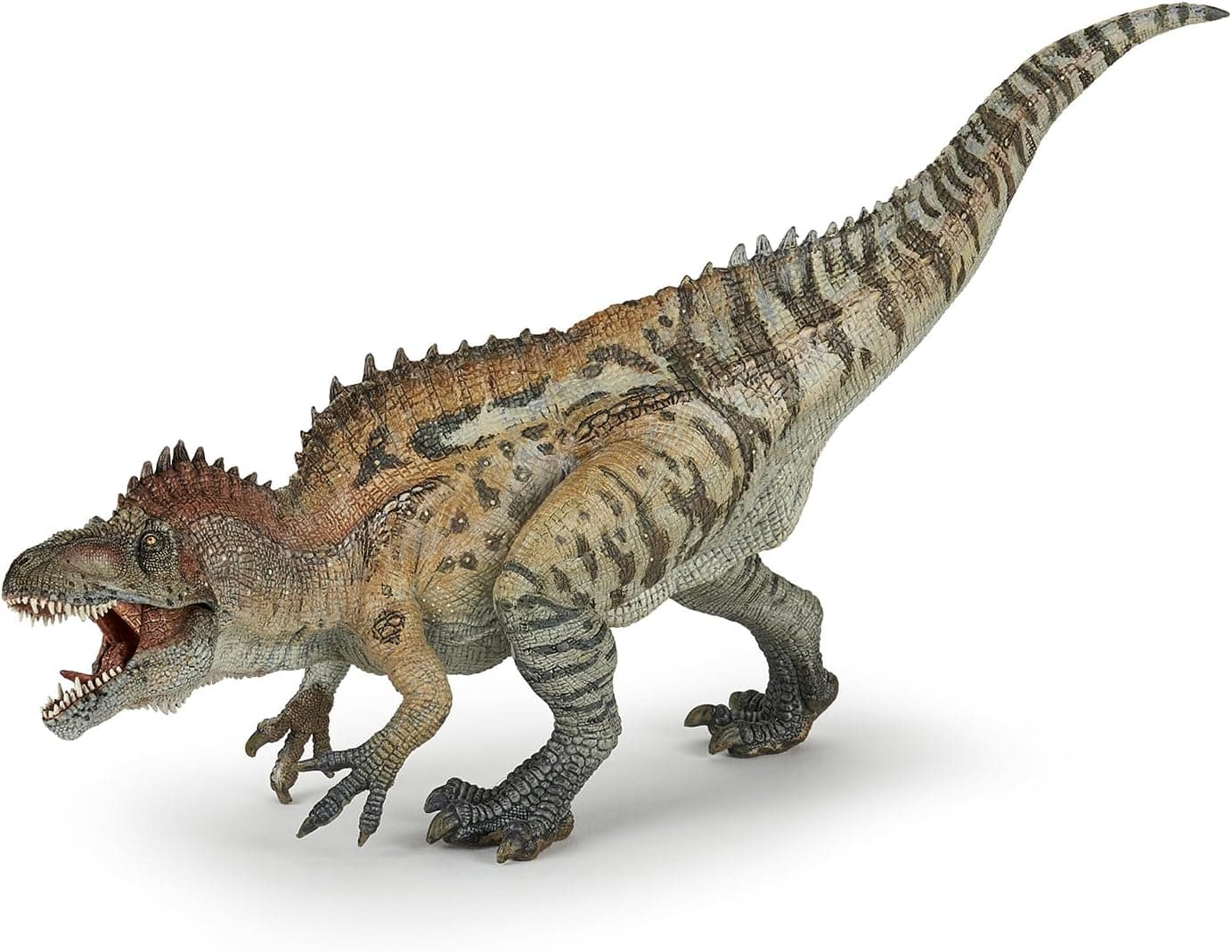 Papo Acrocanthosaurus Realistic Figurine 3 Years Old Dinosaurs Collection Hand Painted Educational Dinosaur Toy Faithfull Details 28 cm Gift Idea acrocantosaurus Toy