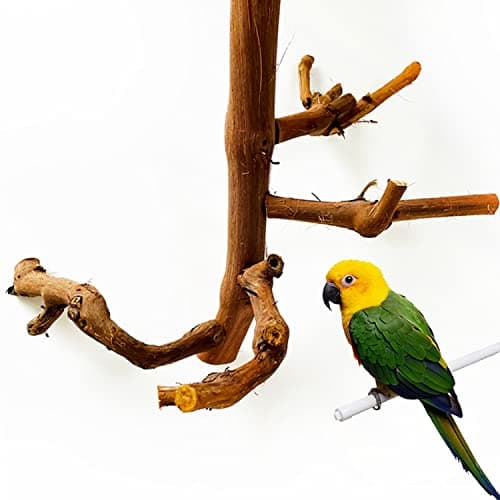 Allazone Natural Parrot Perch Bird Stand Branch Wild Grape Stick Paw Grinding Branch Parakeet Climbing Standing Branches Toy Chewable Cage Accessories for Small Lovebirds Budgies Cockatiels