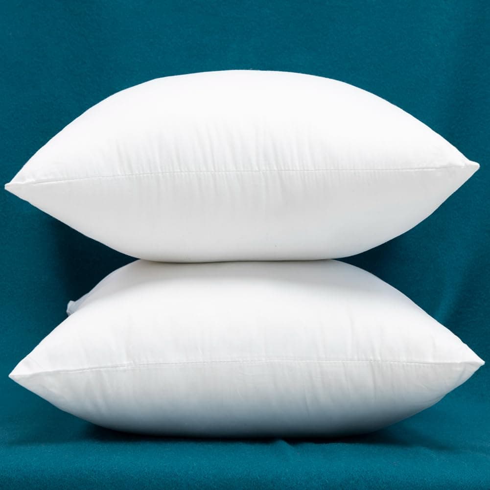 Warmwithann Extra Full and Thick Set of 2 Cotton Fabric Plump Throw Pillow Inserts Down Alternative Decorative Couch Cushion Cover Filler 24 X 24 Inches