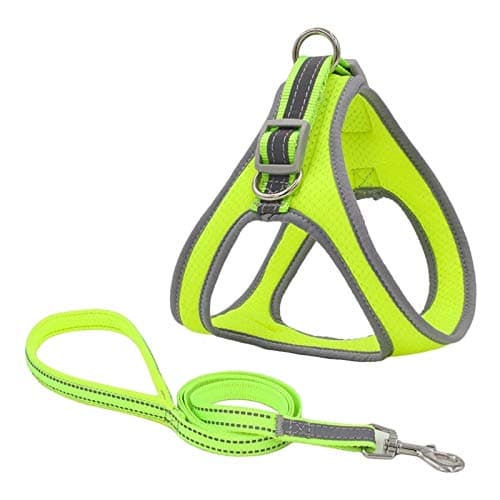 KUTKUT Adjustable | Reflective Strap | Outdoor Training Easy Control | Medium Dogs Harness and Leash (Size L, Adjustable Chest: 43-52cm)…