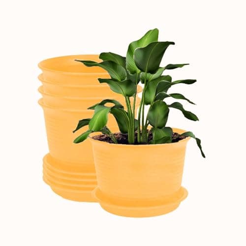 INKULTURE Plastic Round Flower Pots with Tray for Home Planters, Terrace, Garden Etc | Pack of 05 | Yellow | Size 8 Inch | for Home Indoor & Outdoor Gardening Plants