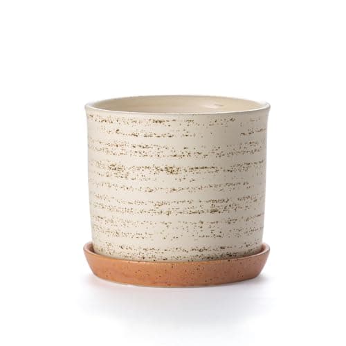 Chubacoo 6 Inch Plant Pot Ceramic Planter with Drainage Hole Saucer Flowerpot for Indoor Outdoor Plants with Separate Tray for Home Office Brush Color