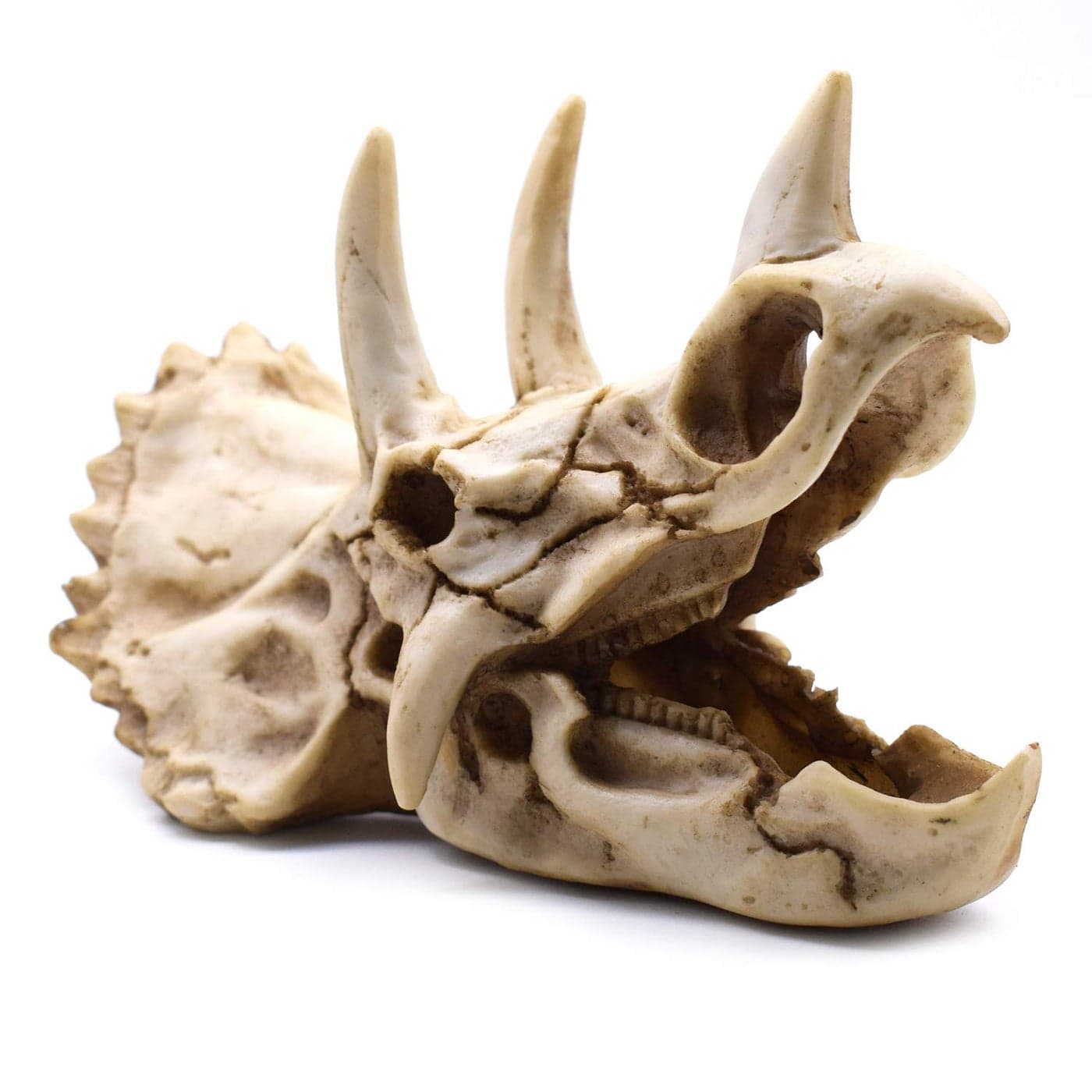 Resin Dinosaur Skeleton Triceratops Imitation Skull Model Home Office Display Decorative Decoration 7x47x4 Inch