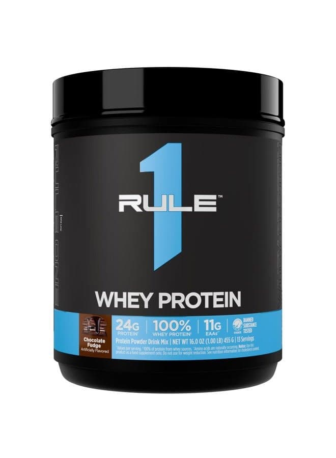 Whey Protein – 24g Fast-Acting Protein from All-Whey Sources with Naturally Occurring EAAs & BCAAs for Workout Recovery or Anytime Use (1 Pound, Chocolate Fudge)