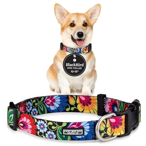 Lucky Love Dog - Adjustable Dog Collar with Easy Click Buckle for Small Dogs, Durable, & Comfortable for Male & Female Dogs, Pet Collar for Puppies & Adult Dogs - Blackbird, Small