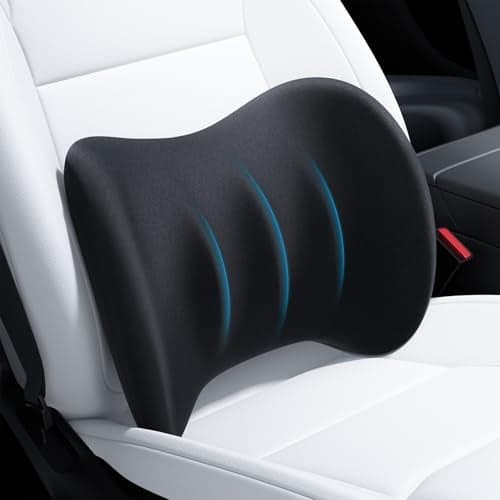 Wigoo 2026 Lumbar Support Pillow for Car Ergonomic Design Pressure Relief Back Cushion for Driving Seat Back Support Pillow for CarOffice Chair Fits All Vehicles Black 1Pack