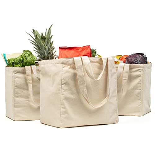 VeraMia 3pc Canvas Grocery Bags with Pockets Shoulder Straps Foldable Washable Heavy Duty Tote