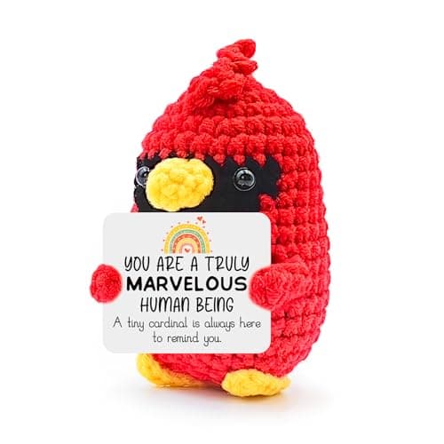 Cardinal Gifts for Women Handmade Crochet Cardinal with Inspirational Message Emotional Support Cardinal Gift for Teens Coworkers Graduation Friendship Christmas Stocking Stuffers