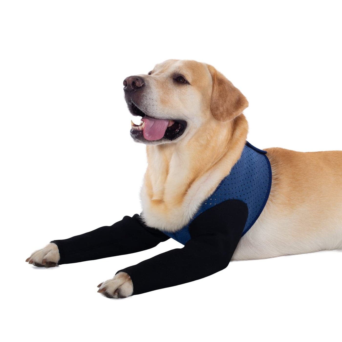 Coodeo Dog Recovery Sleeves, Cone Collar Alternative, Abrasion Resistant Dog Recovery Suit, Washable 2.5mm Thick and Waterproof, Pet Wounds Prevent Licking, Bite, Keep Dry (XL, Blue)