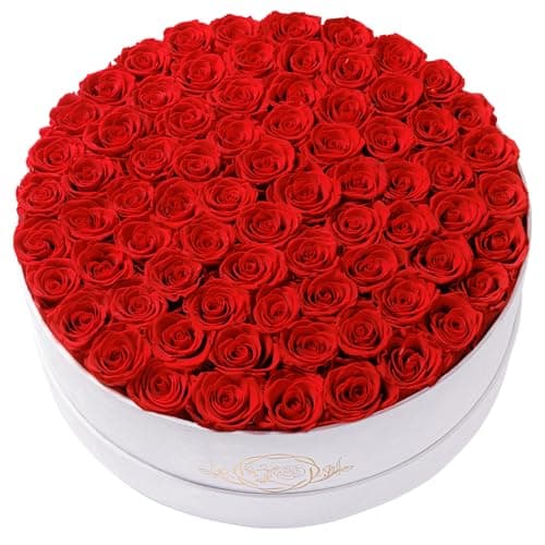 Prifroti 75 Preserved Roses in Suede Box – Luxury Rose Flower Arrangement, Preserved Flowers Gifts for Women, Wife or Mom – Birthday, Anniversary, Valentine’s Day, Mother's Day (Red)