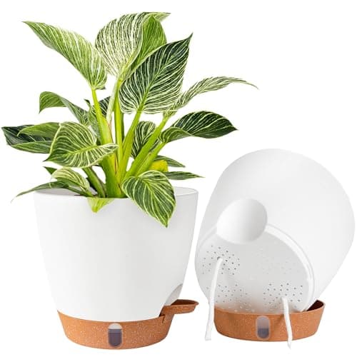Fielda 2 Pack 8 Inch Pots for Plants Indoor Plastic Self Watering Planters with Drainage Holes Water Level Indicator Deep Reservoir Decorative Flower Pots Indoor Outdoor Use White