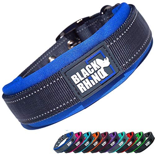 Black Rhino Dog Collars for Medium Dogs - Adjustable Reflective Heavy Duty Dog Collar with Ultra-Soft Neoprene Padding - Weatherproof, Durable, and Comfortable - Ideal for Active Dogs - Blue and Gray