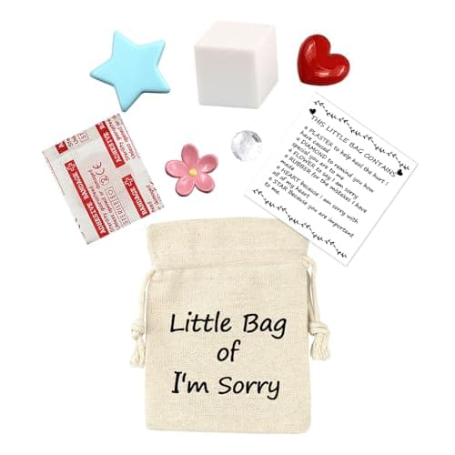 LUOKIFUR Apology Gift for Her or Him I'm Sorry Please forgive Gift (Sorry Bag)