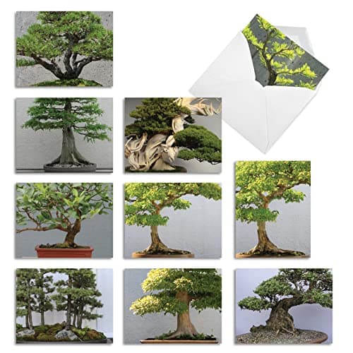 The Best Card Company 10 Assorted Thank You Notecards Box Set 4 x 5.12 Inch with Envelopes (10 Designs, 1 Each) TINY TREES: 10 Assorted Thank You Note Cards w/Matching Envelopes. M2307
