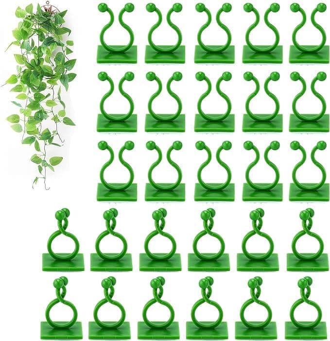 TASMAX money plant holder plant support clips plant clips for climbers money plant clips for wall support climber support for plants climbing clips for plants hooks for wall creeper climb clip PACK 50