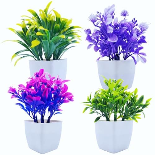 Flora Planet® Set of 4 Mini Multicolour Plants with Pots - Small Greenery Decor for Indoor Spaces Like Home, Farmhouse, Bedroom, Office Desk, Bathroom, and Shelf Aesthetics