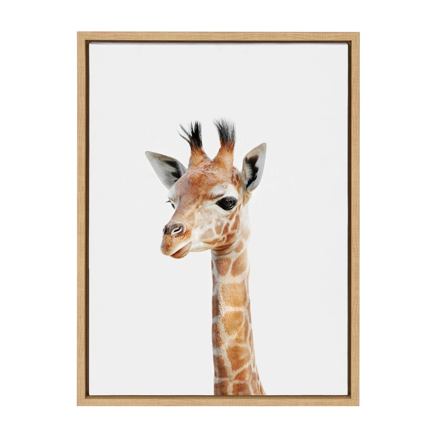 Kate and Laurel Sylvie Baby Giraffe Animal Print Portrait Framed Canvas Wall Art by Amy Peterson 18x24 Natural