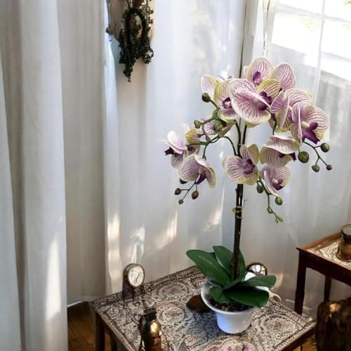 Fox & Fern Artificial Orchid Flowers in Ceramic Pot with 2 Stems, 4 Flower Sticks(GAOR23-0112LPR)| Orchid Bonsai Faux Phalaenopsis Plant (Ht. 53CM) (Light Purple)