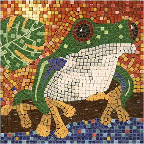 Make Your Own Mosaic Masterpiece with Our Adult Mosaic Kit Square 7inch 20cm Frog