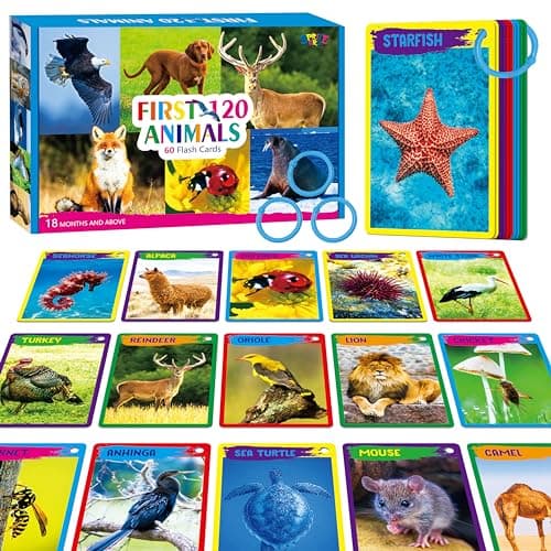 My First 120 Animals 60PCS Realistic Zoo Animal Cards FarmWildMarine AnimalsInsectsBirds Flashcards Montessori Science Educational Toys Preschool Learning for Homeschool Preschool Toddler Kids