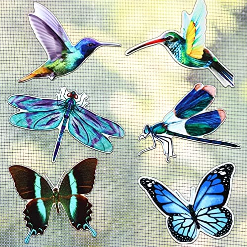 Konohan 12 Pcs Screen Door Magnets Butterfly Hummingbird Dragonfly Double Sided Decorative Protector Screen Magnets Stickers Flexible Magnetic Decals for Window Sliding Patio Door(Fresh Style)