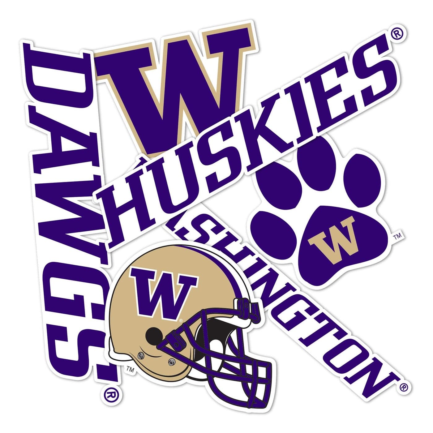 Desert Cactus University of Washington UW Huskies Husky Sticker Vinyl Decals Laptop Water Bottle Car Scrapbook Sheet T2 Type 2