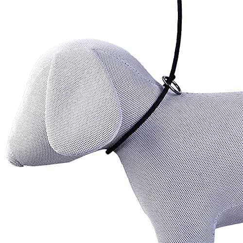Pets Like Show Leash for Dog, Multicolor (GE-PL6007)