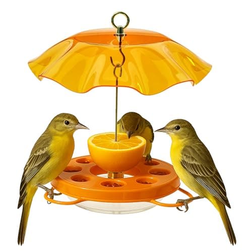 Birds Choice Oriolefest Oriole Bird Feeder with Protective Weatherguard Hanging Bird Feeder for Jelly Oranges Nectar 4 Feeding Ports Trays with Ant Moat Bee Guards 12 oz Orange