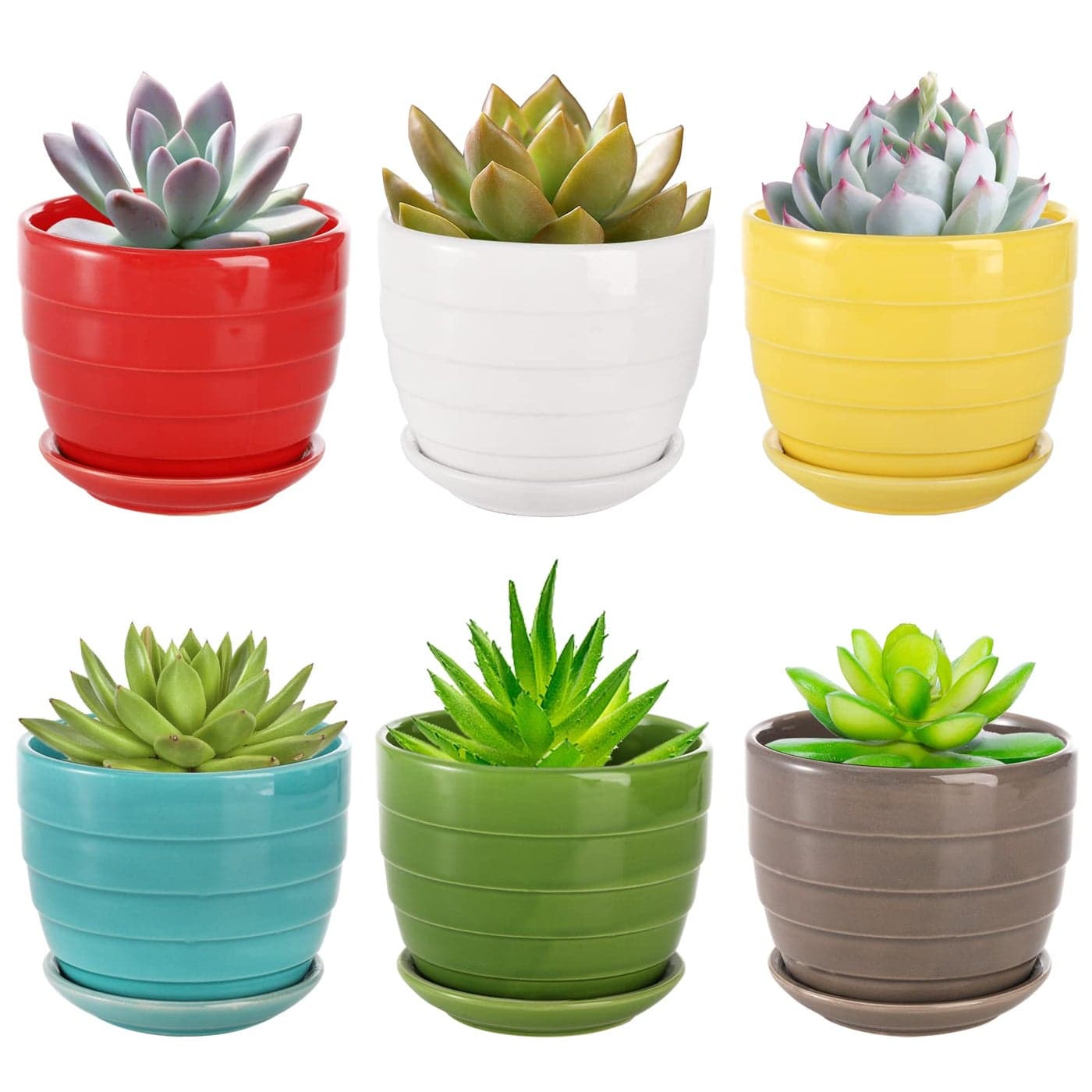 Elsjoy Set of 6 Ceramic Succulents Planter with Drainage Tray 43 Inch Decorative Flower Pots Saucer Small Planter Pot for House Plants Indoor Outdoor Plants 6 Colors