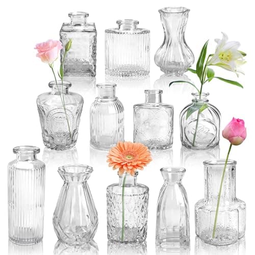 Der Rose Glass Bud Vases Set of 12, Small Bud Vases for Flowers, Rustic Wedding Centerpieces and Home Decor
