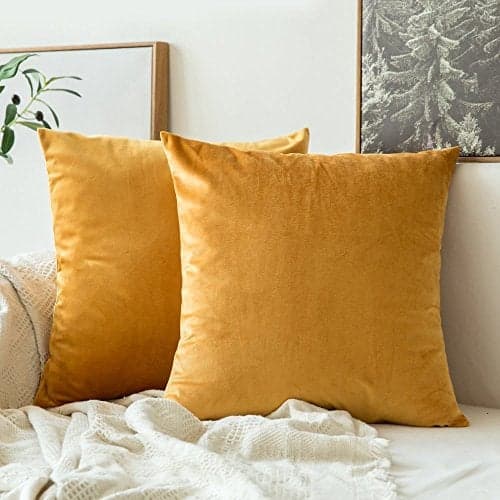 Khooti Velvet Cushion Cover, 16x16 | Gold | Pack of 5 | Solid Plain Soft & Smooth, Decorative Cushion Covers for Living Room, Bedroom, Couches, Chairs, Sofas, Beds & Home Decor