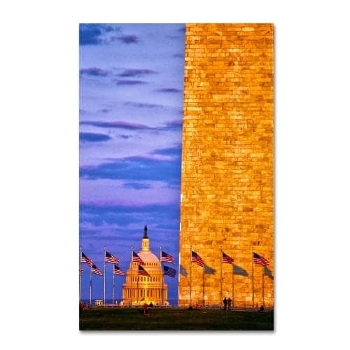 Trademark Fine Art America Canvas Wall Art by CATeyes, 16 by 24-Inch