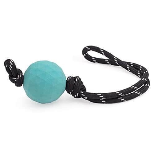 ZippyPaws ZippyTuff Waggle Ball RopeTugz Dog Toy
