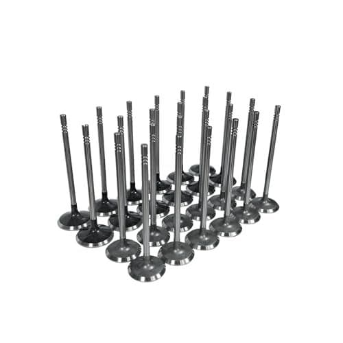 Zieichy 24PCS Intake Valve Exhaust Valve Kit Fit for Ford Lincoln Mercury 46L 54L Sohc 3Valve Triton Replace 3L3Z6507BA 5L1Z6505B IV4185