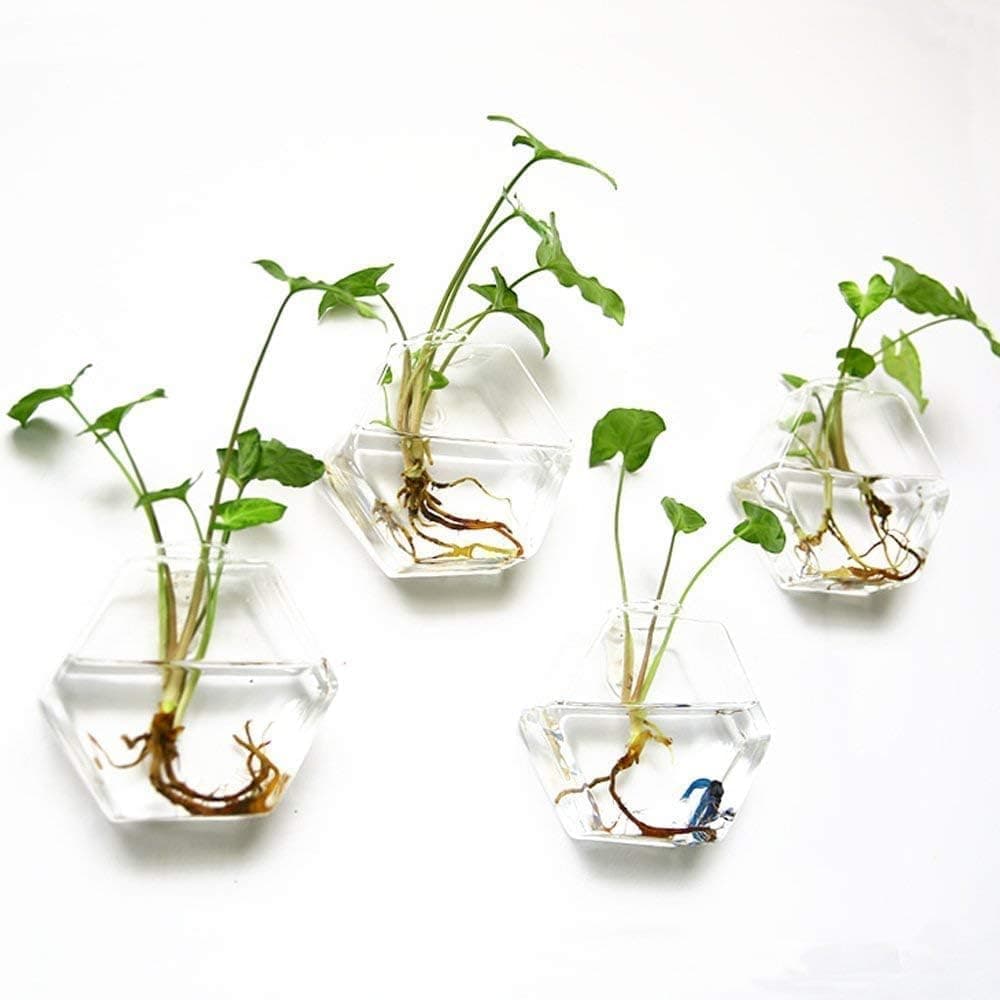 3 Pack Wall Hanging Glass Planter, Propagation Terrarium, Hexagon Shape Flower Vase, Adds Stylish and Modern Sense, Easy to Install, for Home Office Decor, Plant Lover Gifts