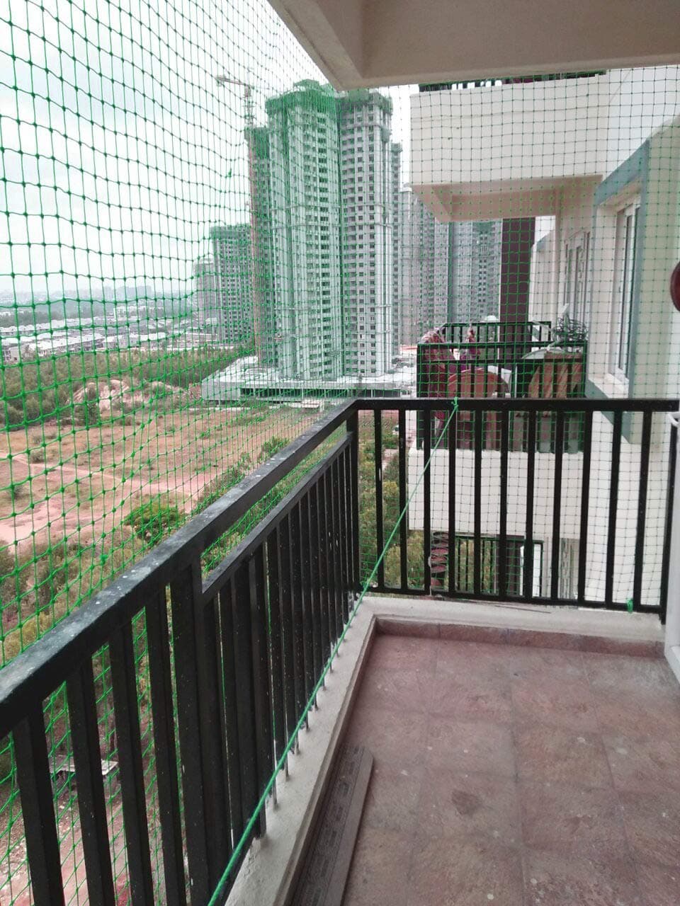 RAISCO Green 3x3 Anti Bird Nets (Green)