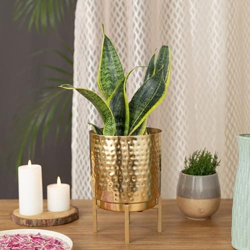 HomeShastra® Ember Gold Metal Planter Set with Stand | 8 inch (Height) by 6 Inch (Dia) | Planters for Living Room, Bedroom (Pack of 1)