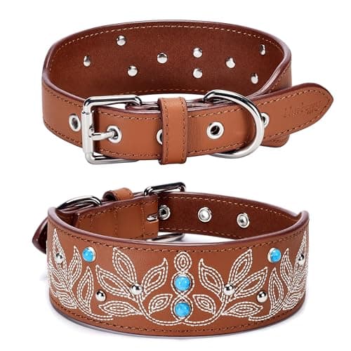 Blueberry Pet Western Dog Collar in Canyon Brown - 15-18 Inch Necks Floral-Embroidered Leather with Turquoise Studs, Dog Collars for Medium Dogs, Adjustable Leather Girl Dog Collar