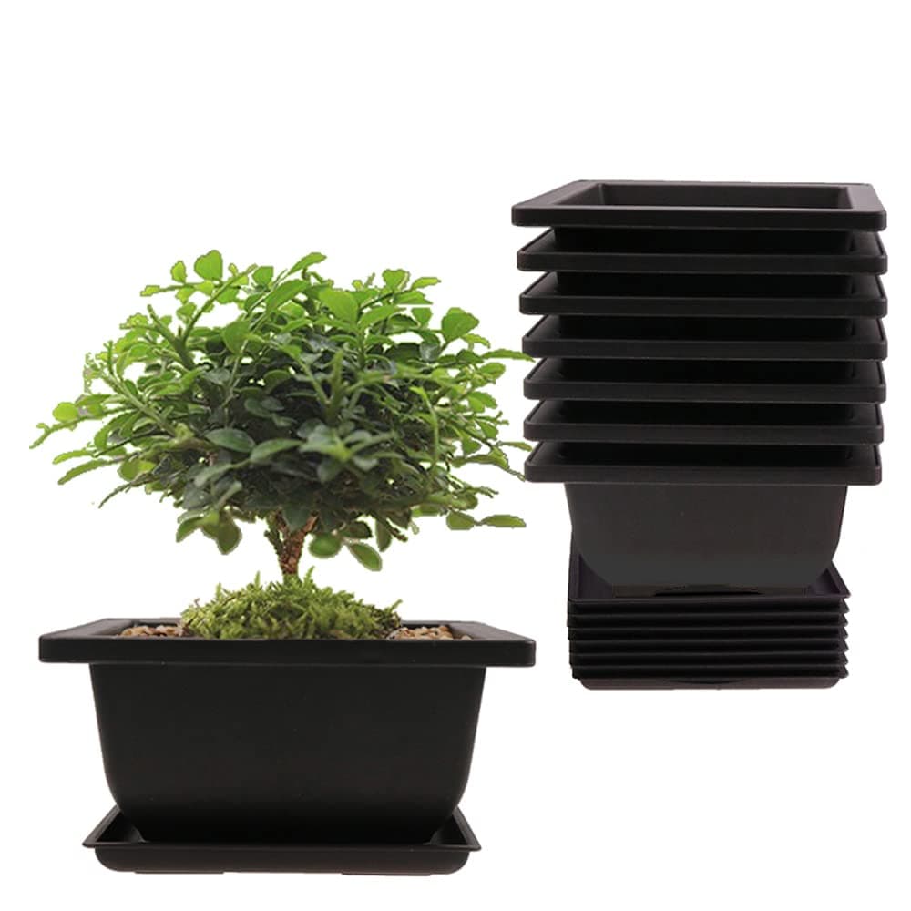 8PCSPack Retro Style Square Small Bonsai Training Pots with Tray Mini Plastic Mocha Garden Flower Pot 47