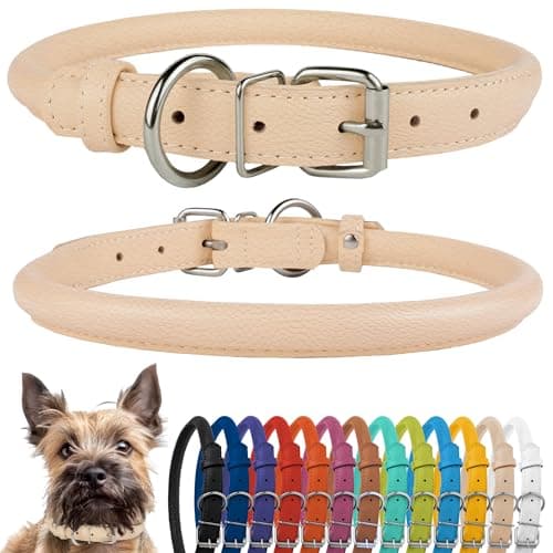 CollarDirect Rolled Leather Dog Collar, Soft Padded Round Puppy Collar, Handmade Genuine Leather Collar Dog Small Large Cat Collars 13 Colors (8-11 Inch, Beige Textured)