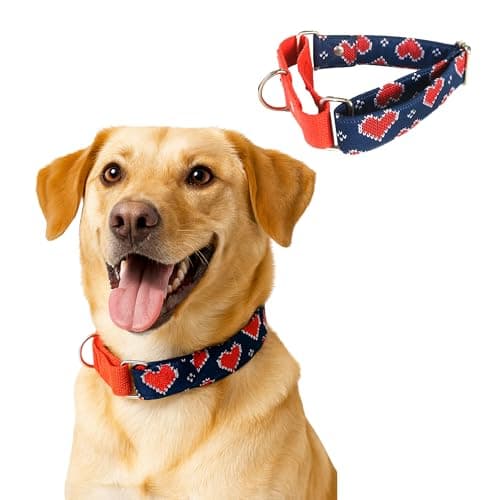 Dog-O-Bow Cotton Blue and Red Heart Martingale Dog Collar, Durable, Comfortable & Adjustable Training Collar (Large)