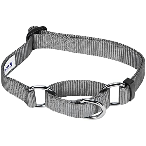 Blueberry Pet Essentials Martingale Safety Training Dog Collar, Flint Gray, Small, Heavy Duty Nylon Adjustable Collars for Dogs