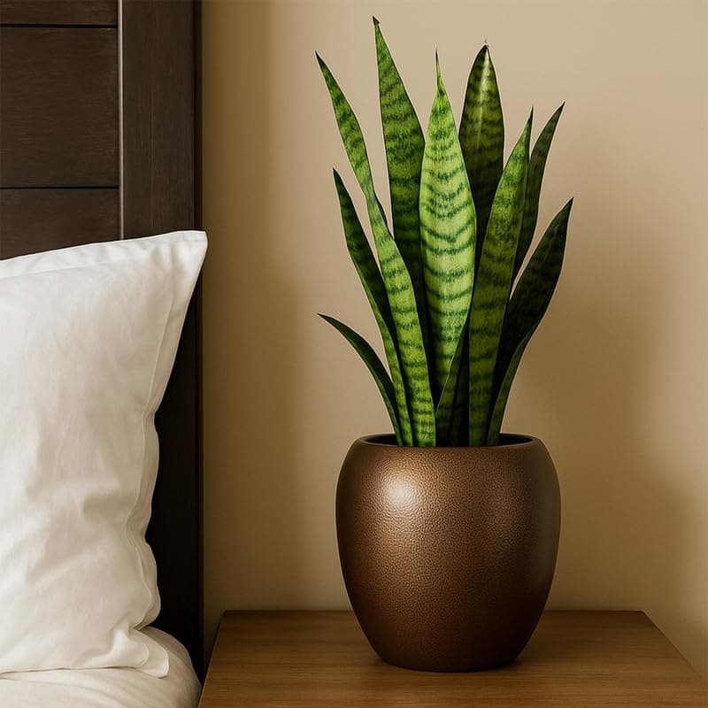 CINAGRO Metal Planter Pot for Indoor Plants, Round Decorative Flower Pot, Rust-Resistant, Modern Plant Holder for Home, Balcony, Office (13.97 x 12.7 cm, Bronze Calm)