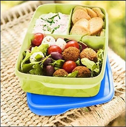 Tupperware . Plastic Kids Divide Lunch-1 Pc,1Liters,Multicolor