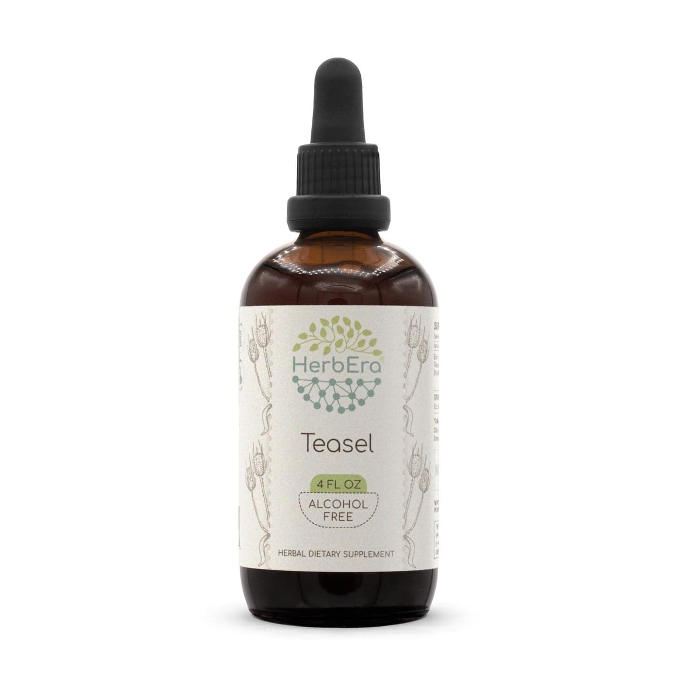 HerbEra Teasel B120 AlcoholFree Herbal Extract Tincture Concentrated Liquid Drops Natural Teasel Dipsacus fullonum Dipsacus sylvestris 4 fl oz