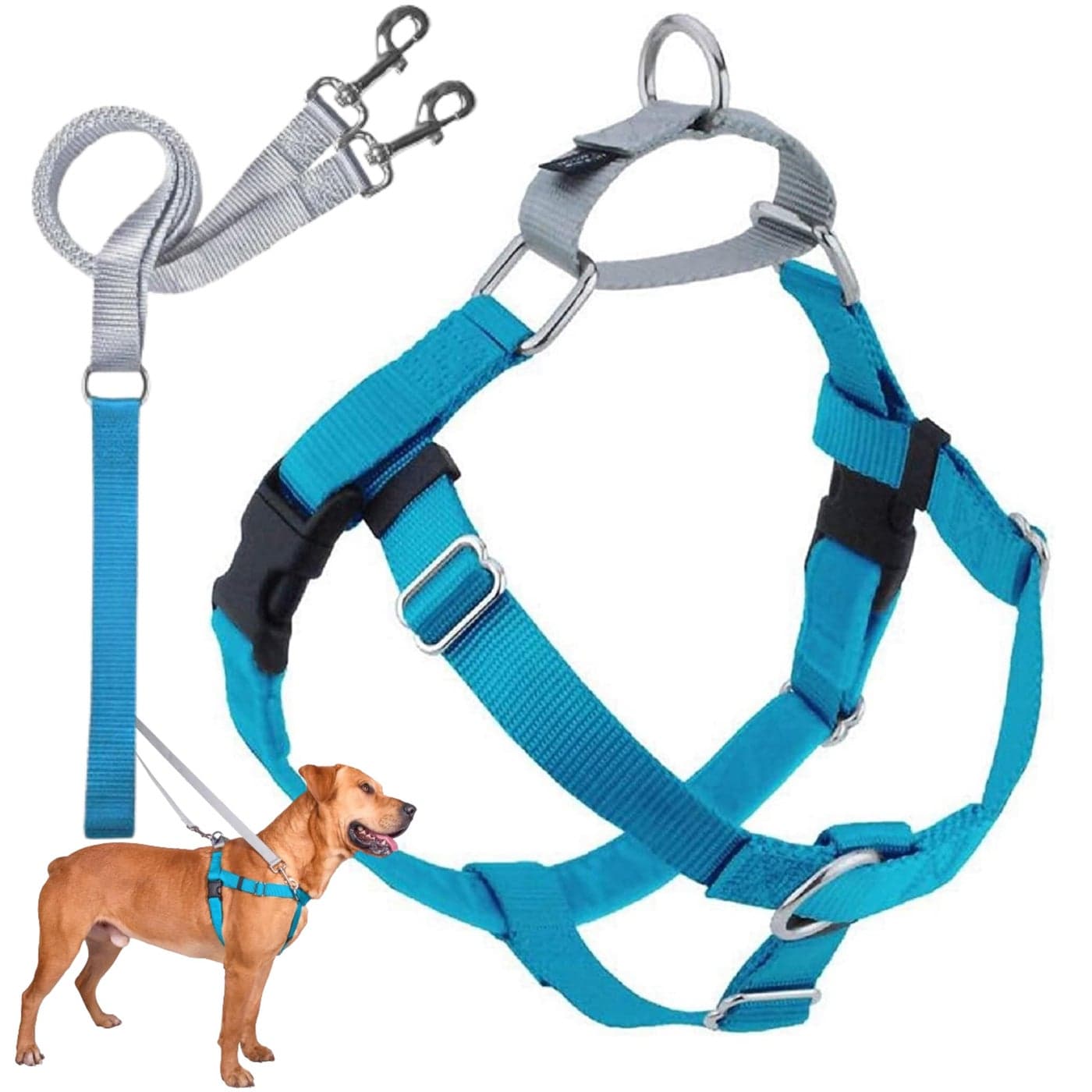 2 Hounds Design Freedom No Pull Dog Harness Adjustable Harness and Leash Set Easy Walking Comfortable Control Fits Small Medium Large Dogs Solid Colors Made in USA 1 MD Turquoise