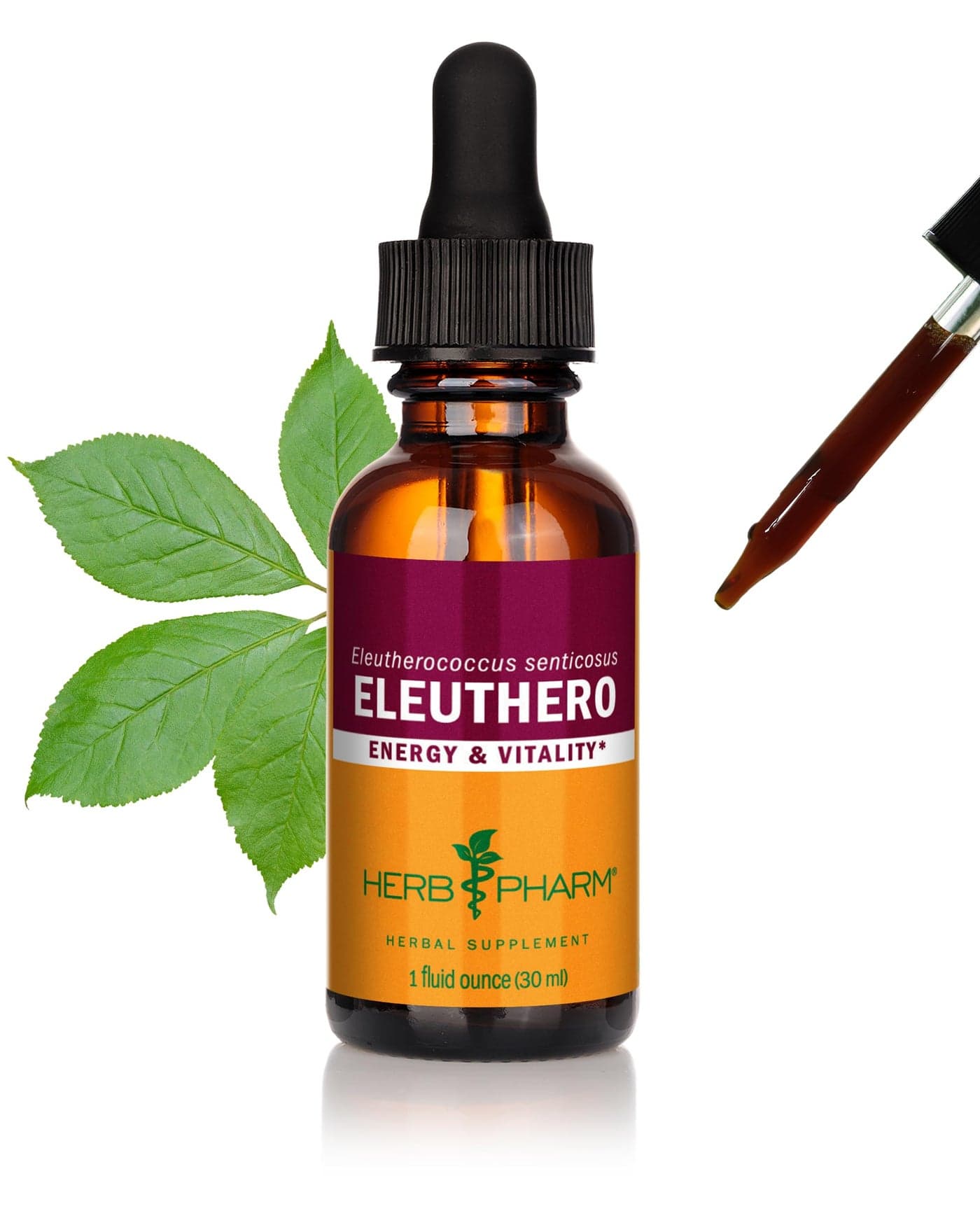 Herb Pharm Eleuthero Root Liquid Extract for Energy and Stamina Cane Alcohol 1 Ounce