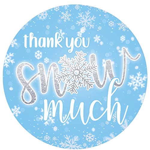 Blue Winter Onederland Thank You Stickers 40 Count Snowflake Labels 1st Birthday Party Favor Stickers for Boys Thank You Snow Much Labels for Winter Baby Birthday Supplies