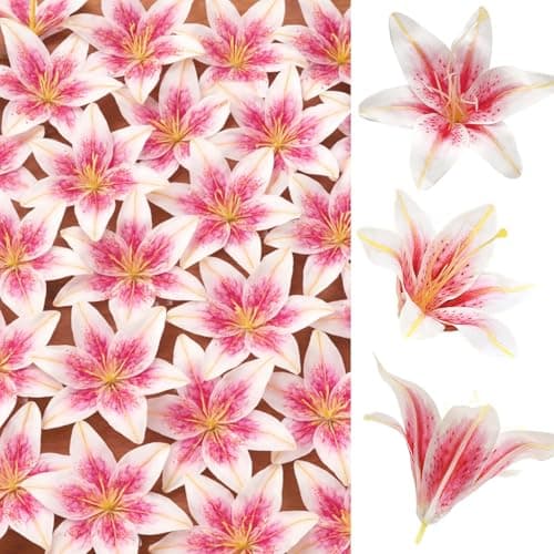 SNAIL GARDEN 24PCS 55 Large Fake Lilies Flower Heads with Realistic Stamens24PCS Pink Artificial Flower Heads Bulk Silk Flowers for Crafts Cake Decorating Wedding Party Wreath Home Decor