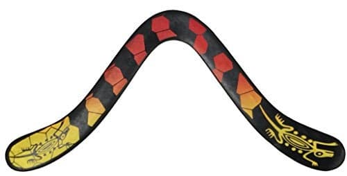 Iguana Boomerangs Composite Boomerangs for Teenagers and Adults Carbon FiberPlastic Composite Competition Boomerangs